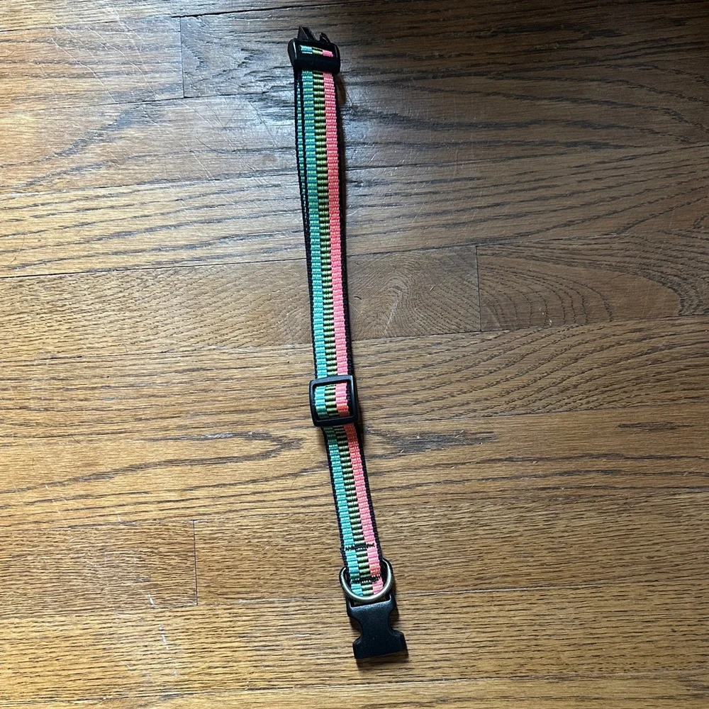 Colorful Neon Dog Collar! 15”-24”